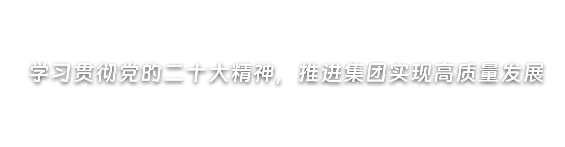 深入开展党纪学习教育，推进集团高质量发展
